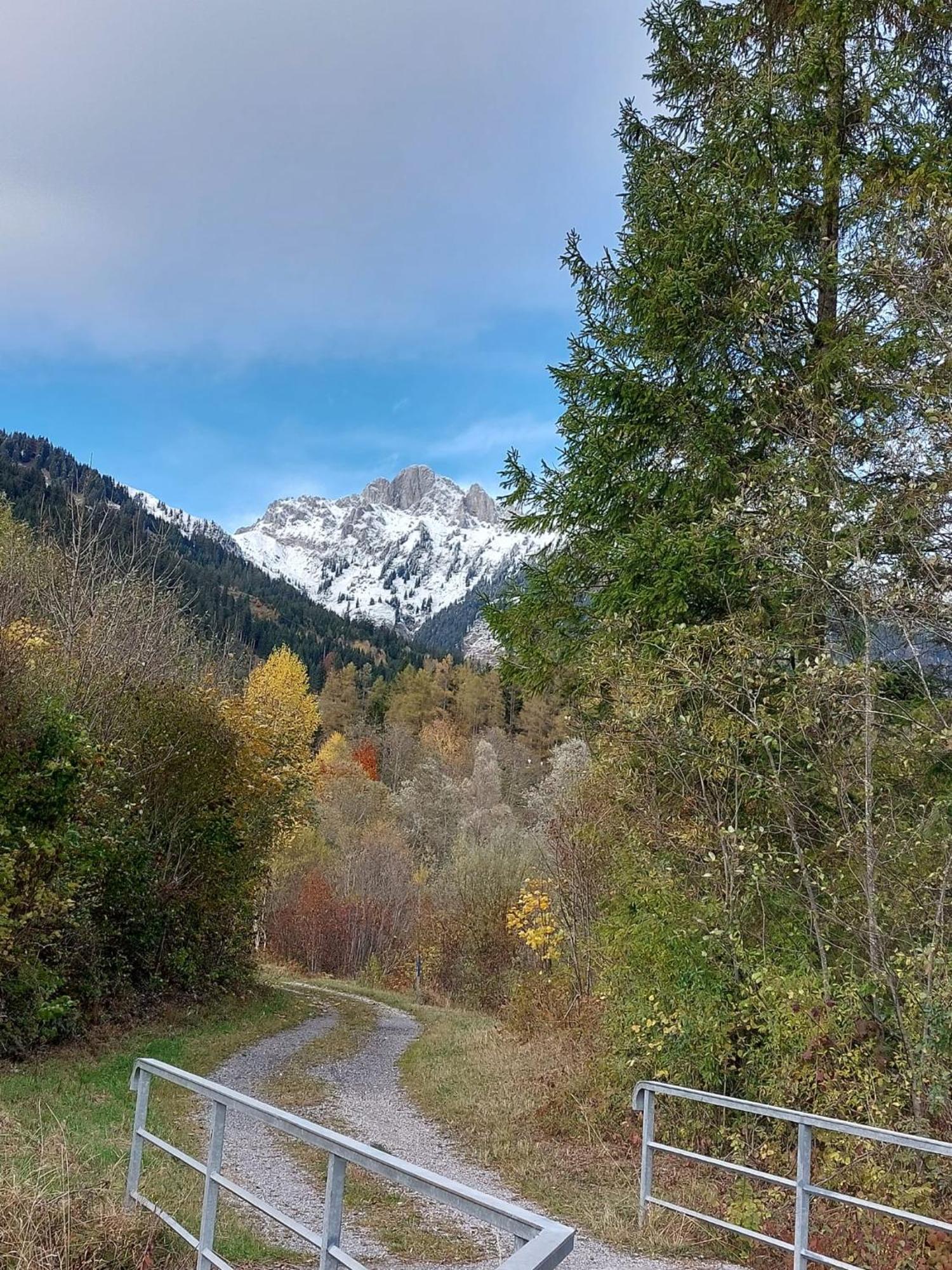 Alpapart Hornberg Höfen Kültér fotó