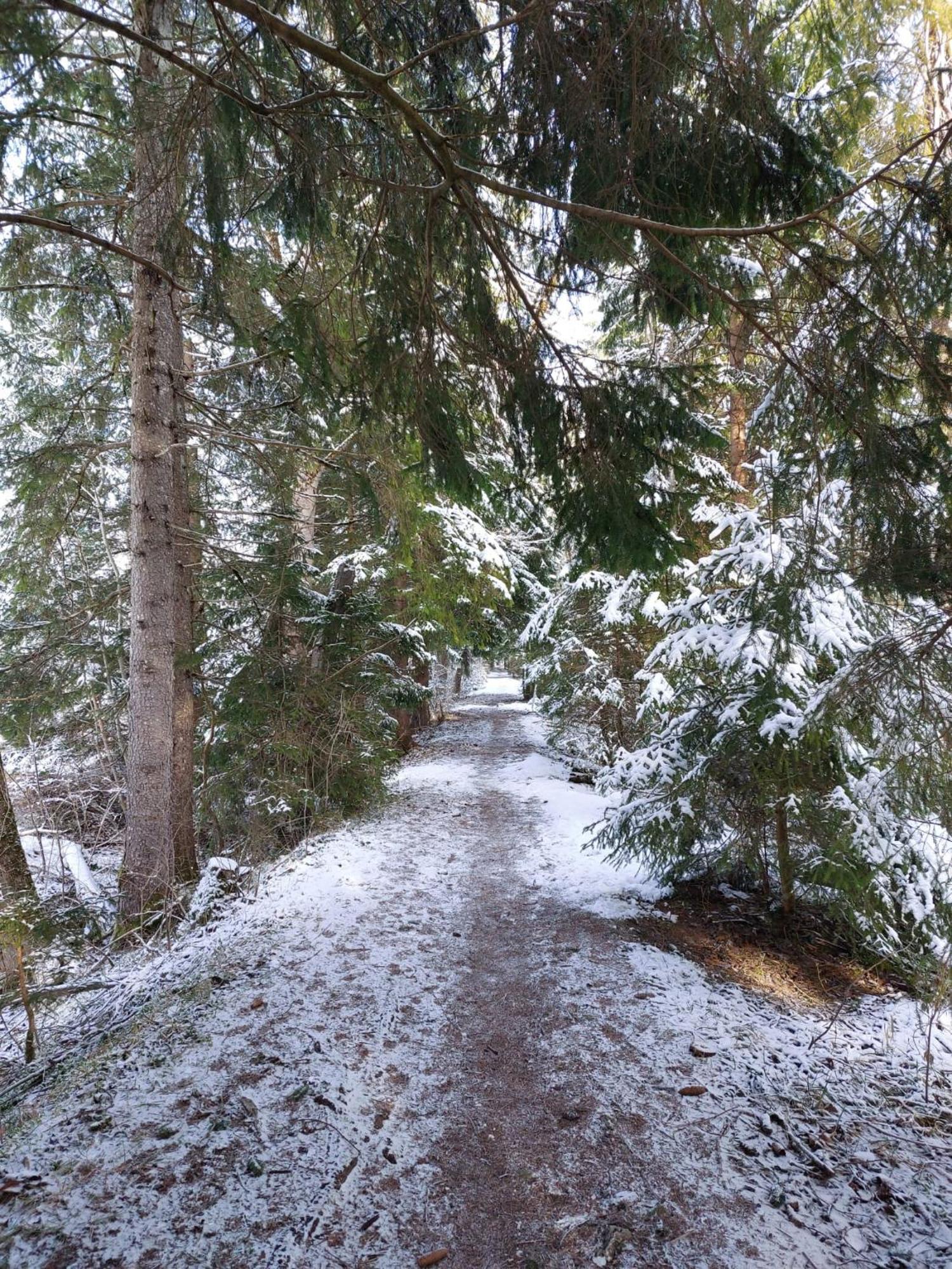Alpapart Hornberg Höfen Kültér fotó